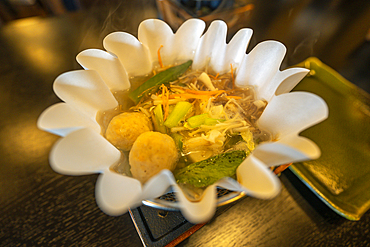 Dish portion of traditional Japanese noodle soup and dumplings, ramen with wild vegetables, Tokyo, Japan, Asia