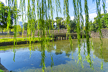 View of reflections in Wadakura Moat on a sunny day, Chiyoda, Tokyo, Honshu, Japan