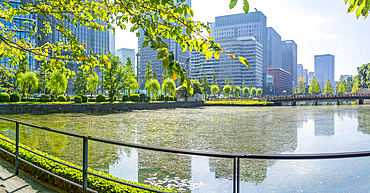 View of reflections in Wadakura Moat on a sunny day, Chiyoda, Tokyo, Honshu, Japan