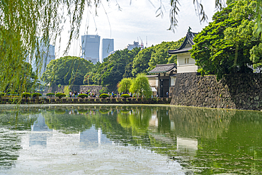 View of reflections in Ote-bori Moat, The East Gardens of the Imperial Palace, Chiyoda, Tokyo, Honshu, Japan