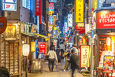 View of neon lights in narrow city street near Tokyo Tower at night, Minato City, Tokyo, Honshu, Japan