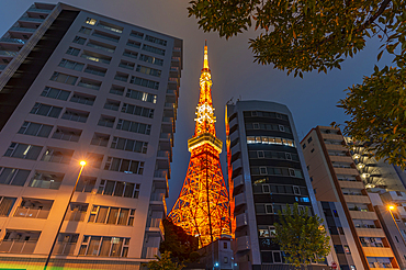 View of Tokyo Tower and city buildings at night, Minato City, Tokyo, Honshu, Japan