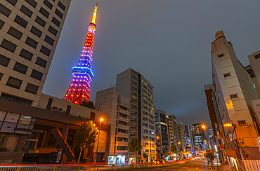 View of Tokyo Tower and city buildings at night, Minato City, Tokyo, Honshu, Japan