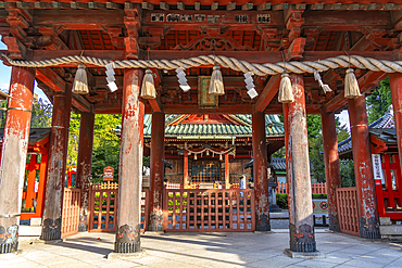 View of the Ozaki Shrine on a sunny day, Kanazawa City, Ishikawa Prefecture, Honshu, Japan