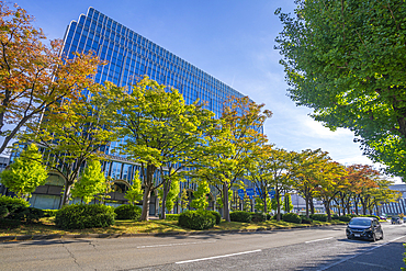 View of colourful trees turning in autumn against modern buildings, Kanazawa City, Ishikawa Prefecture, Honshu, Japan, Asia