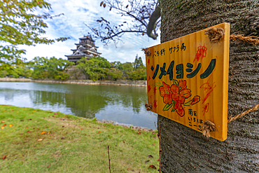 View of Hiroshima Castle, with museum, reflecting in Moat and sign on tree, Motomachi, Naka Ward, Hiroshima, Honshu, Japan