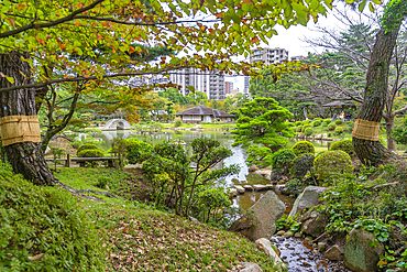 View of Takueichi Pond in Shukkeien Garden, Kaminoboricho, Naka Ward, Hiroshima, Japan, Asia