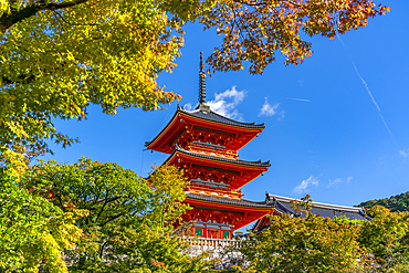 View of Kiyomizu-dera Temple and trees with autumn colours, Kiyomizu, Higashiyama Ward, Kyoto, Japan, Asia