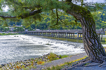 View of Togetsukyo Bridge over Katsura River, Sagatenryuji Susukinobabacho, Ukyo Ward, Kyoto, Honshu, Japan