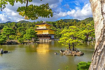 View of Golden Temple (Kinkaku-ji) (Temple of the Golden Pavilion), UNESCO, Kyoto, Honshu, Japan