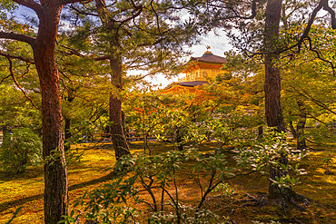 View of Golden Temple (Kinkaku-ji) (Temple of the Golden Pavilion), UNESCO, Kyoto, Honshu, Japan