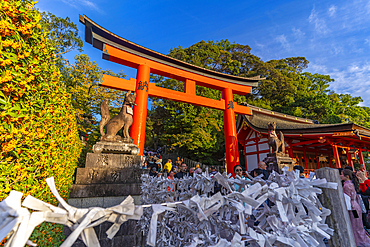 View of Fushimi Inari Shrine at dusk, Fukakusa Yabunouchicho, Fushimi Ward, Kyoto, Honshu, Japan