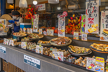 View of shops in shopping mall, Shimogyo Ward, Higashitamamizucho, Kyoto, Honshu, Japan