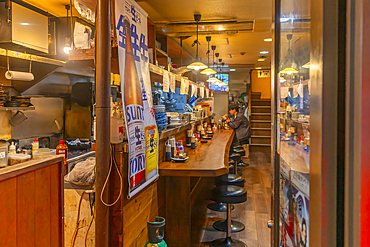 View of restaurant in Dotonbori, vibrant entertainment district near the river, Osaka, Honshu, Japan, Asia