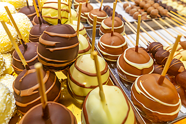 View of market stall with fruit covered in chocolate at Christmas, Breitscheidplatz, Berlin, Germany, Europe