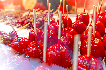 View of toffee apples on Christmas Market stall in Altstadt Spandau, Spandau, Berlin, Germany, Europe