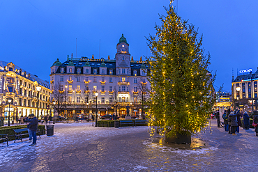 View of Grand Hotel and Christmas tree on Karl Johans Gate during winter at dusk, Oslo, Norway, Scandinavia, Europe