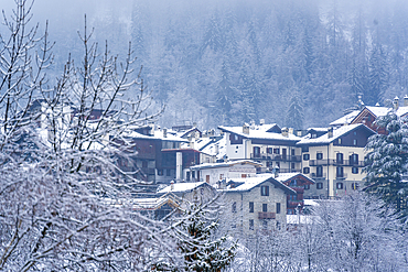 View of frosted trees and chalets in Dolonne during winter, Courmayeur, Aosta Valley, Italy, Europe