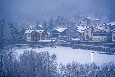 View of frosted trees and chalets in Dolonne during winter, Courmayeur, Aosta Valley, Italy, Europe