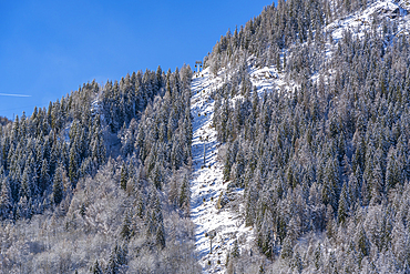 View of snow covered trees, mountains and cable car from Dolonne to Plan Chécrouit from Courmayeur during winter, Courmayeur, Aosta Valley, Italy, Europe