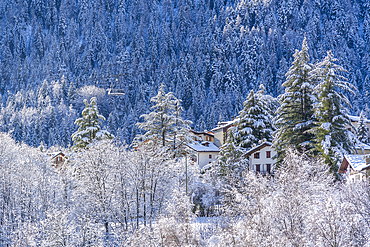 Snow covered trees, mountains and cable car from Courmayeur to Plan Chécrouit viewed from Courmayeur during winter, Courmayeur, Aosta Valley, Italy, Europe