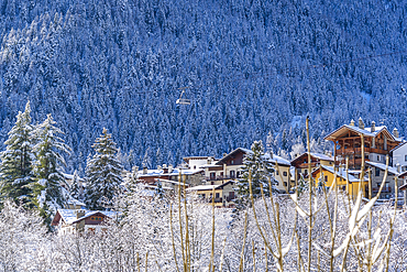 Snow covered trees, mountains and cable car from Courmayeur to Plan Chécrouit viewed from Courmayeur during winter, Courmayeur, Aosta Valley, Italy, Europe