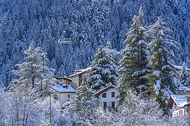 Snow covered trees, mountains and cable car from Courmayeur to Plan Chécrouit viewed from Courmayeur during winter, Courmayeur, Aosta Valley, Italy, Europe