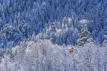 Snow covered trees, mountains and cable car from Courmayeur to Plan Chécrouit viewed from Courmayeur during winter, Courmayeur, Aosta Valley, Italy, Europe