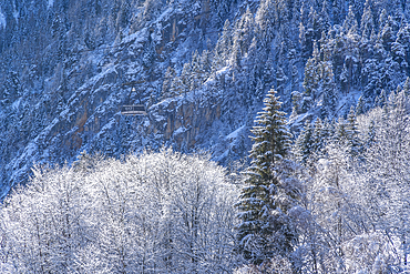 Snow covered trees, mountains and cable car from Courmayeur to Plan Chécrouit viewed from Courmayeur during winter, Courmayeur, Aosta Valley, Italy, Europe