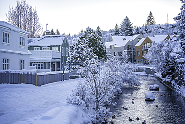 View of icy river and houses in Hafnarfjörður at sunrise during winter, Hafnarfjörður, Reykjavik, Iceland, Europe