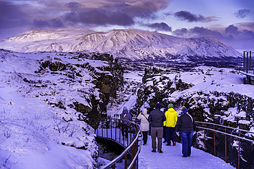 View of people and the continental drift between the North American and Eurasian tectonic plates in Thingvellir National Park during winter, Western Region, Iceland, Europe