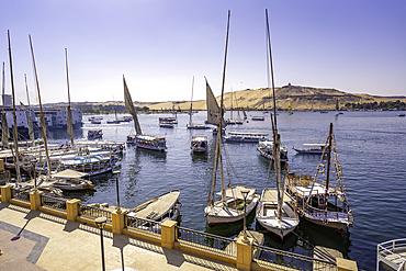 View of fellucas on the Nile river on a sunny day, Aswan, Nubia, Egypt, North Africa, Africa