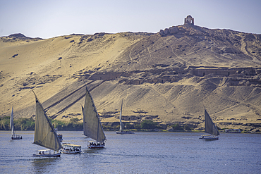 View of fellucas on the Nile river on a sunny day, Aswan, Nubia, Egypt, North Africa, Africa