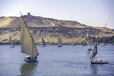 View of fellucas on the Nile river on a sunny day, Aswan, Nubia, Egypt, North Africa, Africa