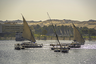 View of fellucas on the Nile river on a sunny day, Aswan, Nubia, Egypt, North Africa, Africa