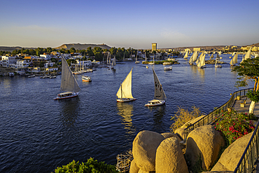 View of fellucas on the Nile river from Feryal Garden during golden hour, Aswan, Nubia, Egypt, North Africa, Africa
