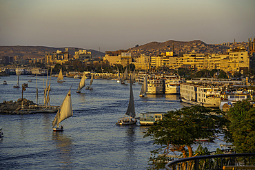 View of fellucas on the Nile river from Feryal Garden during golden hour, Aswan, Nubia, Egypt, North Africa, Africa