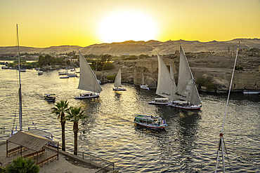View of fellucas on the Nile river from Feryal Garden during golden hour, Aswan, Nubia, Egypt, North Africa, Africa