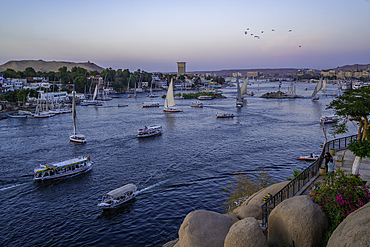 View of fellucas on the Nile river from Feryal Garden at dusk, Aswan, Nubia, Egypt, North Africa, Africa