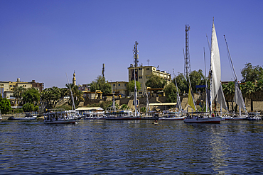 View of feluccas on the Nile river from small boat in Aswan, Aswan, Nubia, Egypt, North Africa, Africa
