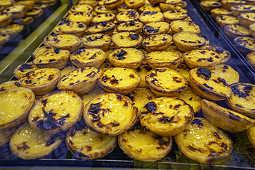 View of Pastel de Nata custard tarts in shop window in Lisbon city centre, Lisbon, Portugal, Europe