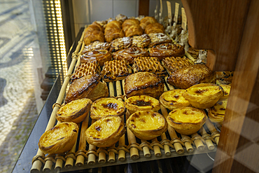 View of Pastel de Nata custard tarts in shop window in Lisbon city centre, Lisbon, Portugal, Europe