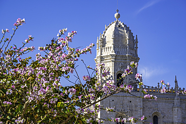 View of Jerónimos Monastery (Monastery of the Hieronymites) and spring blossom in Empire Square Garden on a sunny day, Lisbon, Portugal, Europe