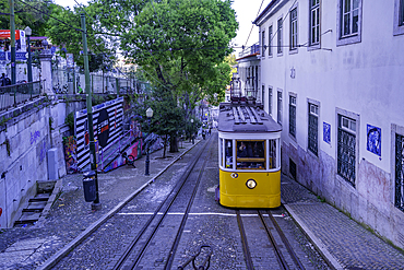 View of vintage Glória Funicular, hilltop tram ride, Lisbon, Portugal, Europe