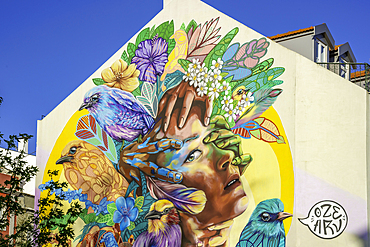 View of colourful wall painting on building in the Alfama District on a sunny day, Lisbon, Portugal, Europe
