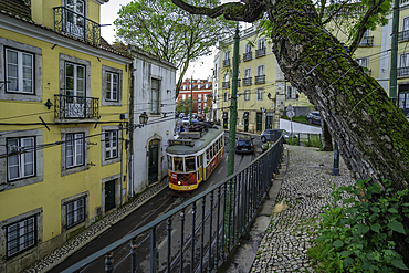 View of vintage tram and colourful buildings in the Alfama District on a sunny day, Lisbon, Portugal, Europe