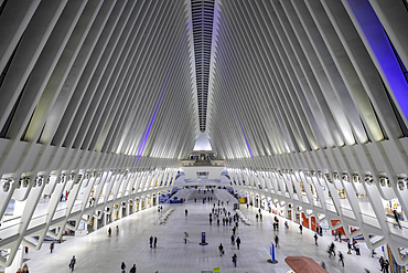 View of interior of the Oculus transportation hub at the World Trade Center at dusk in Lower Manhattan, New York City, United States of America, North America