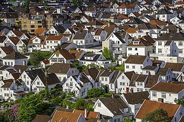 Aerial view of white wooden cottages in Gamle Stavanger during daytime, Stavanger, Norway, Scandinavia, Europe