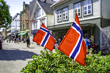 View of Norwegian flags on Haraldsgata shopping street on a sunny day, Haugesund, Rogaland County, Norway, Scandinavia, Europe