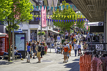 View of shops on Haraldsgata street on a sunny day, Haugesund, Rogaland County, Norway, Scandinavia, Europe